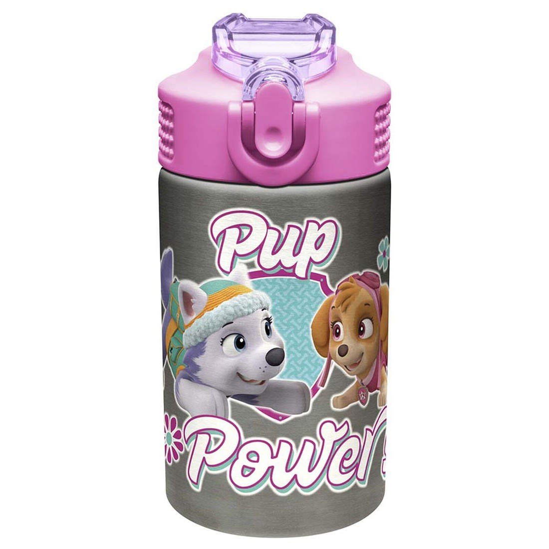 https://theoutfit.me/15968-thickbox_default/zak-paw-patrol-skye-stainless-action-lid-carry-loop-straw-155-oz-water-bottle.jpg