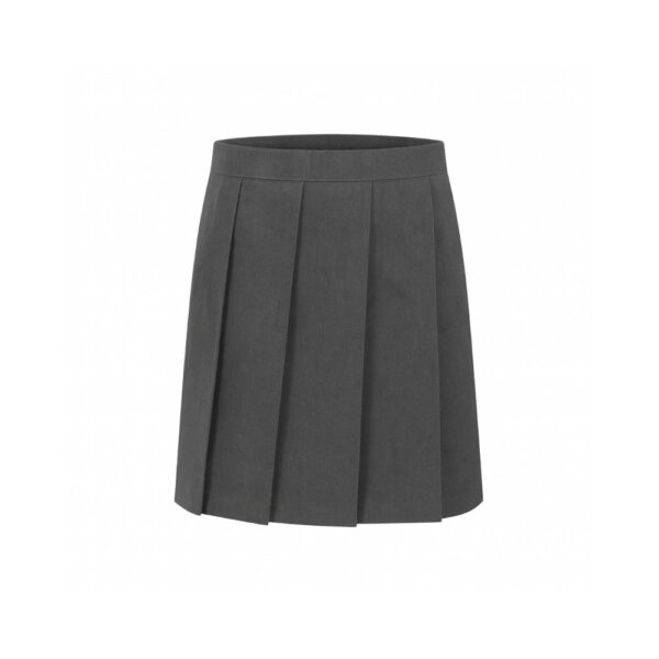 ICS Skirt