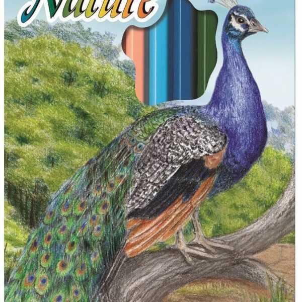 Faber Castell Colour Of Nature Pencils 12 Colors