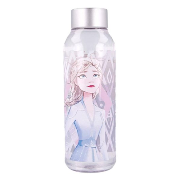 Stor Tritan Hydro Water Bottle Frozen II 660 ML
