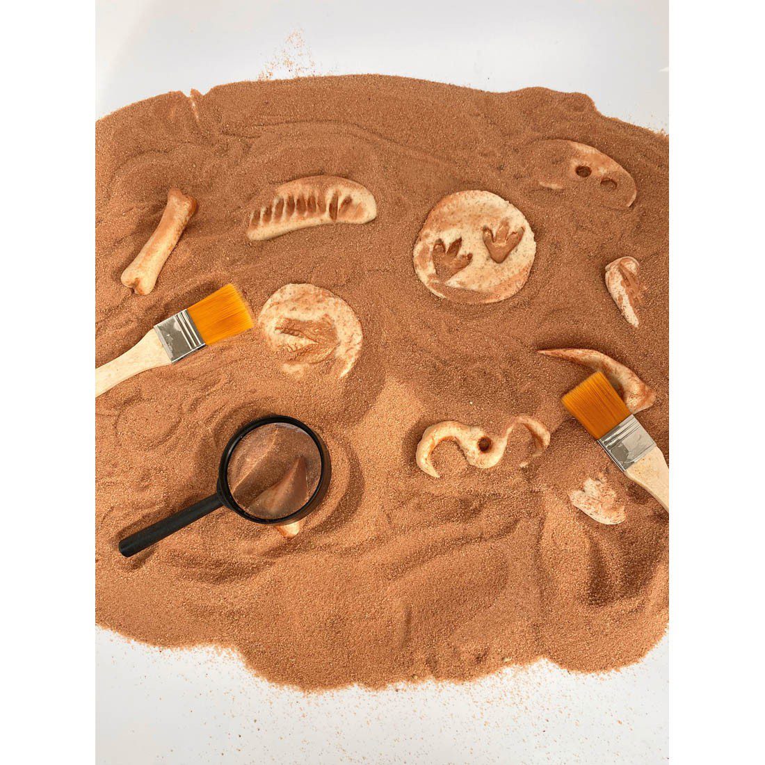 Yippee Dinosaur Fossils Kit - Image 3