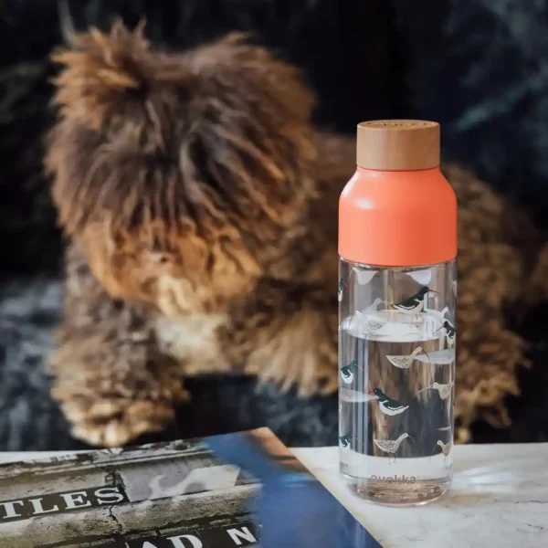 Quokka Ice Tritan Water Bottle 720ml-2