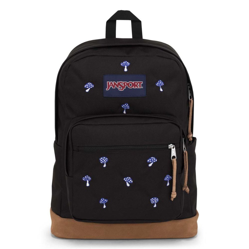 JanSport Right Pack Expressions Backpack product thumbnail 7