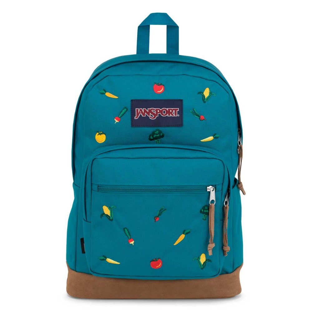 JanSport Right Pack Expressions Backpack