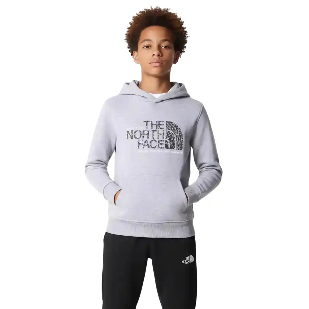 The North Face Boy_s Drew Peak Pullover Hoodie Light Gray-1