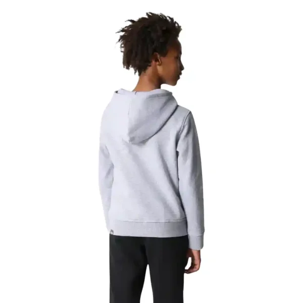 The North Face Boy_s Drew Peak Pullover Hoodie Light Gray-2